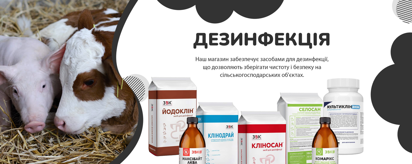 Дезинфекція